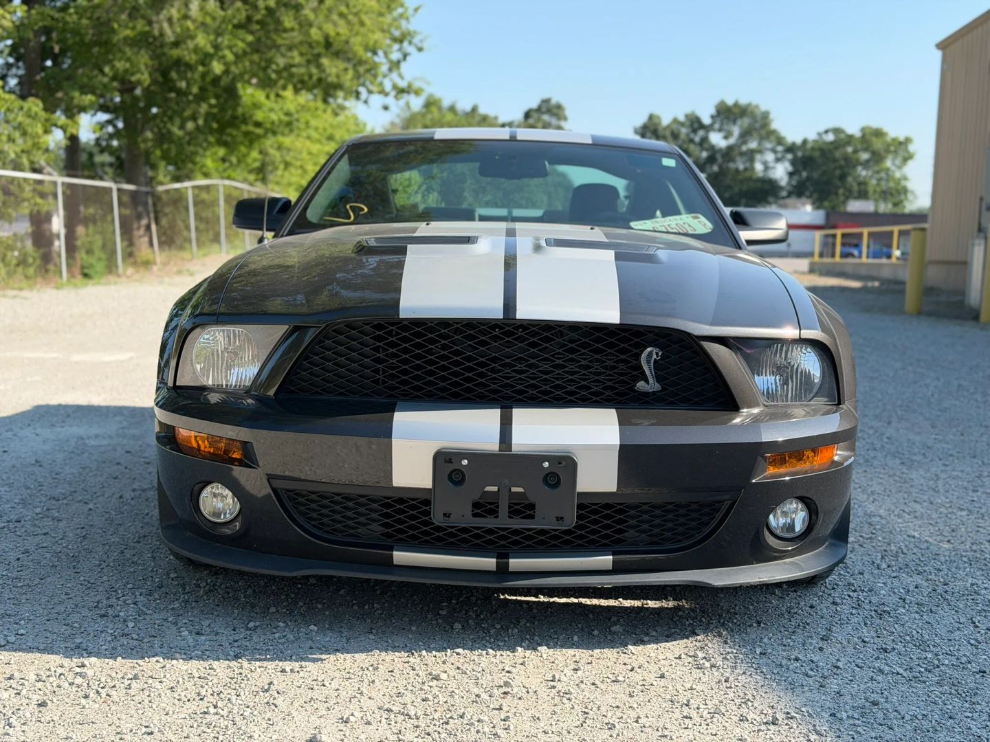 ford mustang 2008 1ZVHT88S685149653 image ford mustang 2008 1ZVHT88S685149653 image