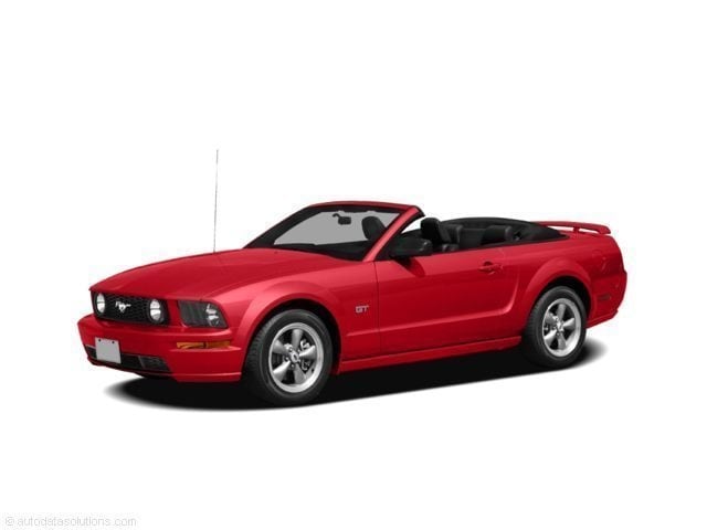 ford mustang 2008 1ZVHT84N885200859 image ford mustang 2008 1ZVHT84N885200859 image