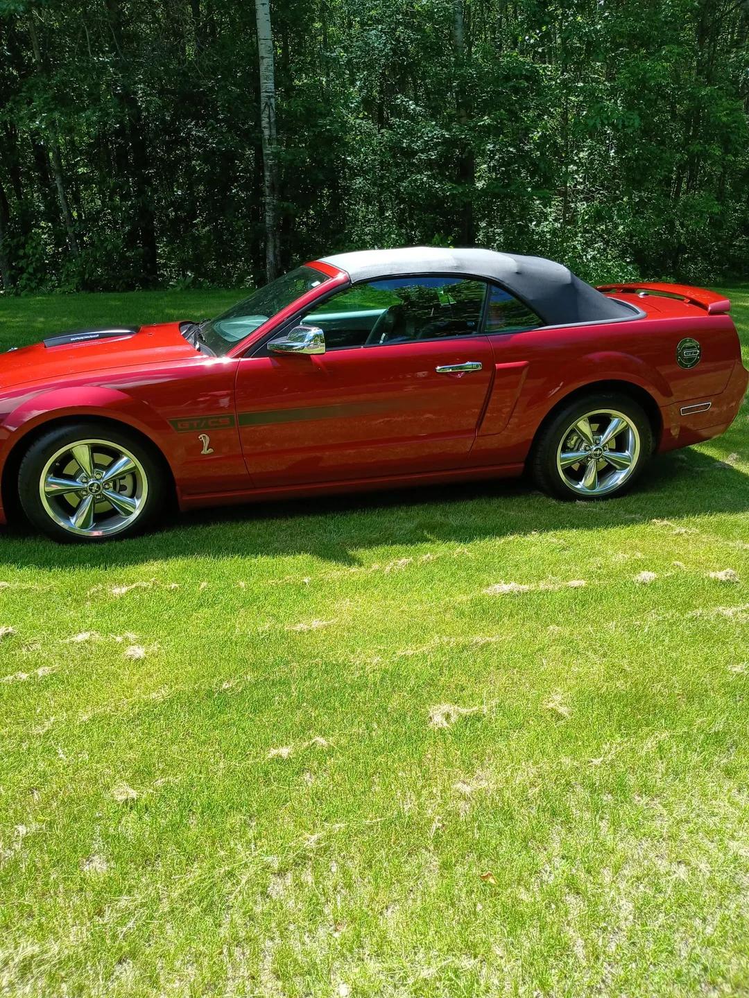ford mustang 2008 1ZVHT85H285200199 image ford mustang 2008 1ZVHT85H285200199 image