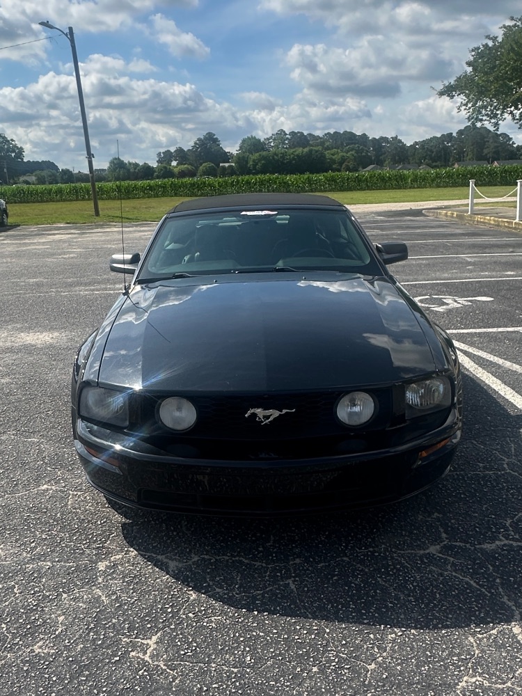 ford mustang 2008 1ZVHT85H085128449 image ford mustang 2008 1ZVHT85H085128449 image