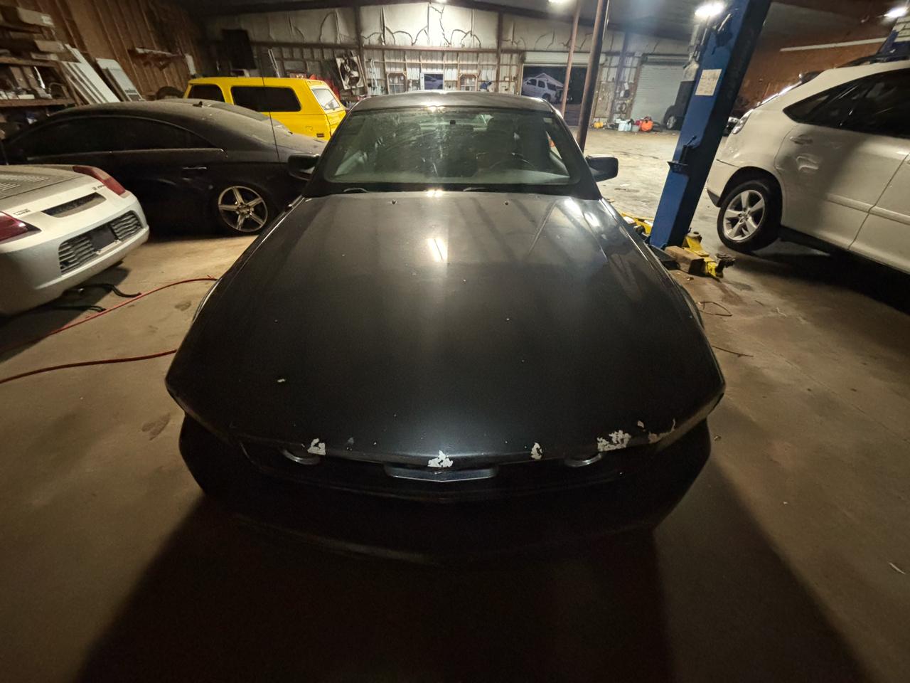 ford mustang 2009 1ZVHT80N195141970 image ford mustang 2009 1ZVHT80N195141970 image