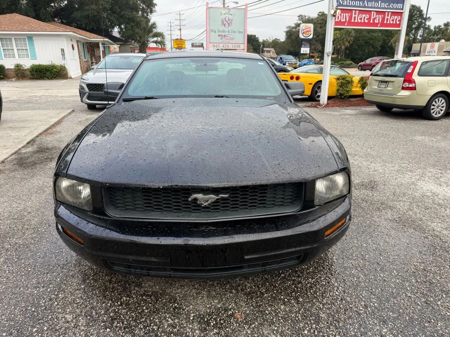 ford mustang 2009 1ZVHT80N895101613 image ford mustang 2009 1ZVHT80N895101613 image