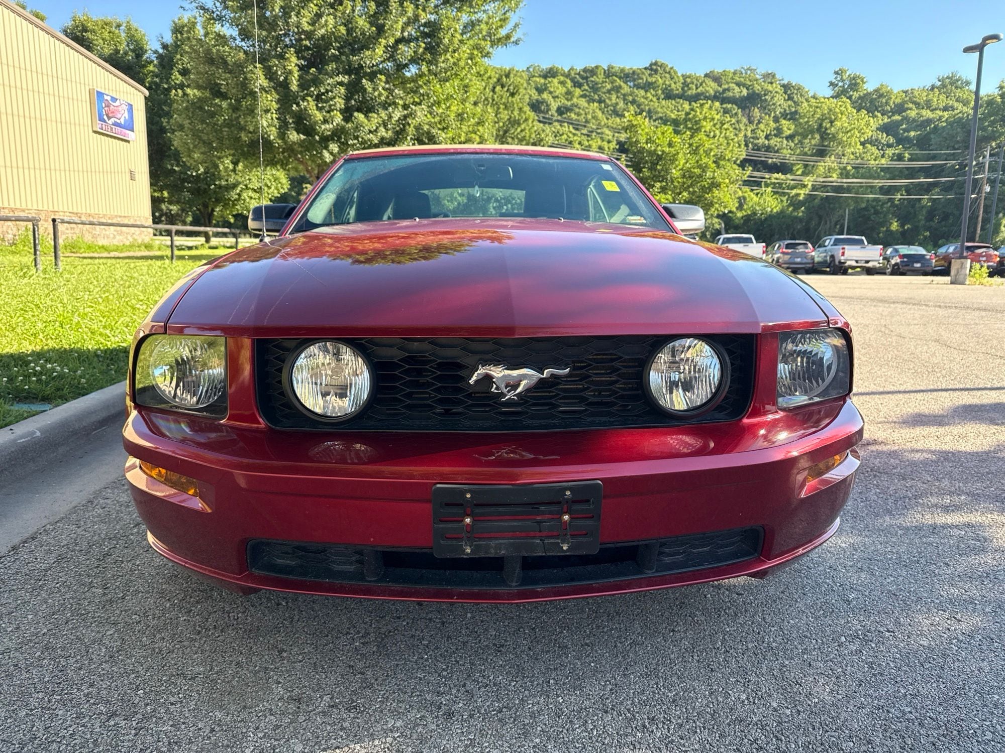 ford mustang 2007 1ZVFT85H675317838 image ford mustang 2007 1ZVFT85H675317838 image