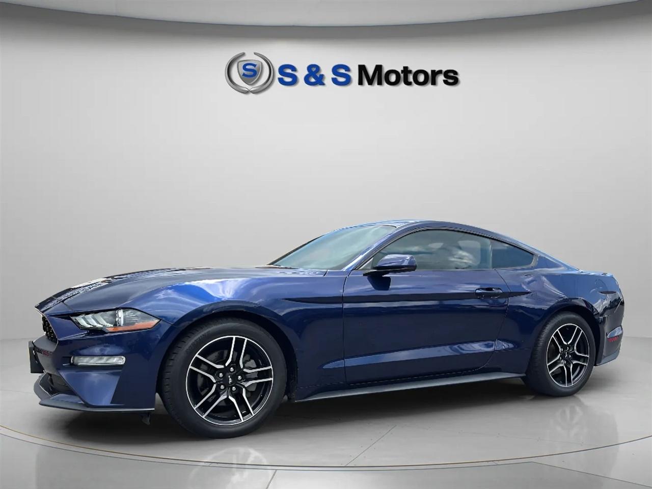 ford mustang 2019 1FA6P8TH0K5117496 image ford mustang 2019 1FA6P8TH0K5117496 image