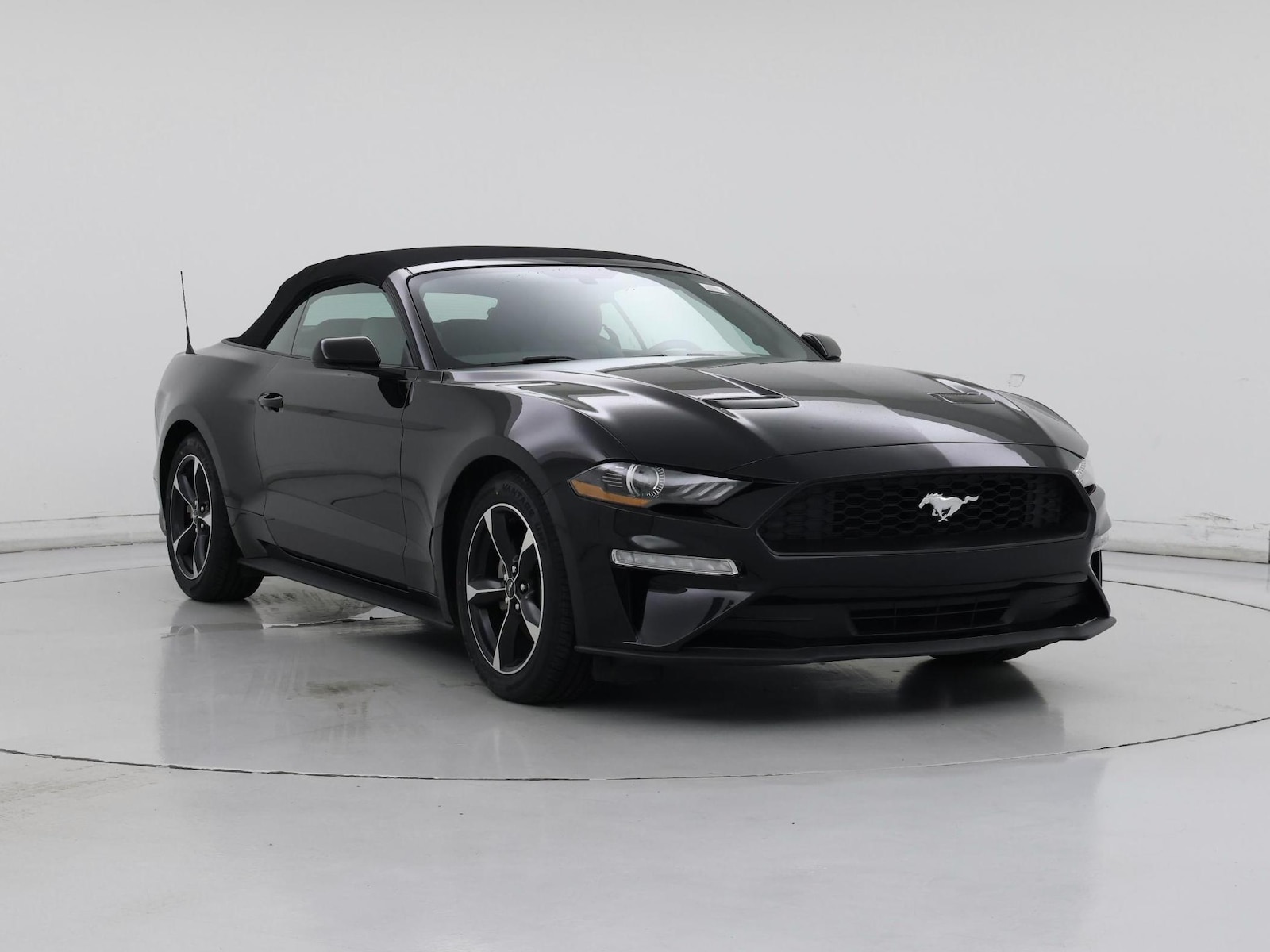 ford mustang 2019 1FATP8UH8K5205195 image ford mustang 2019 1FATP8UH8K5205195 image