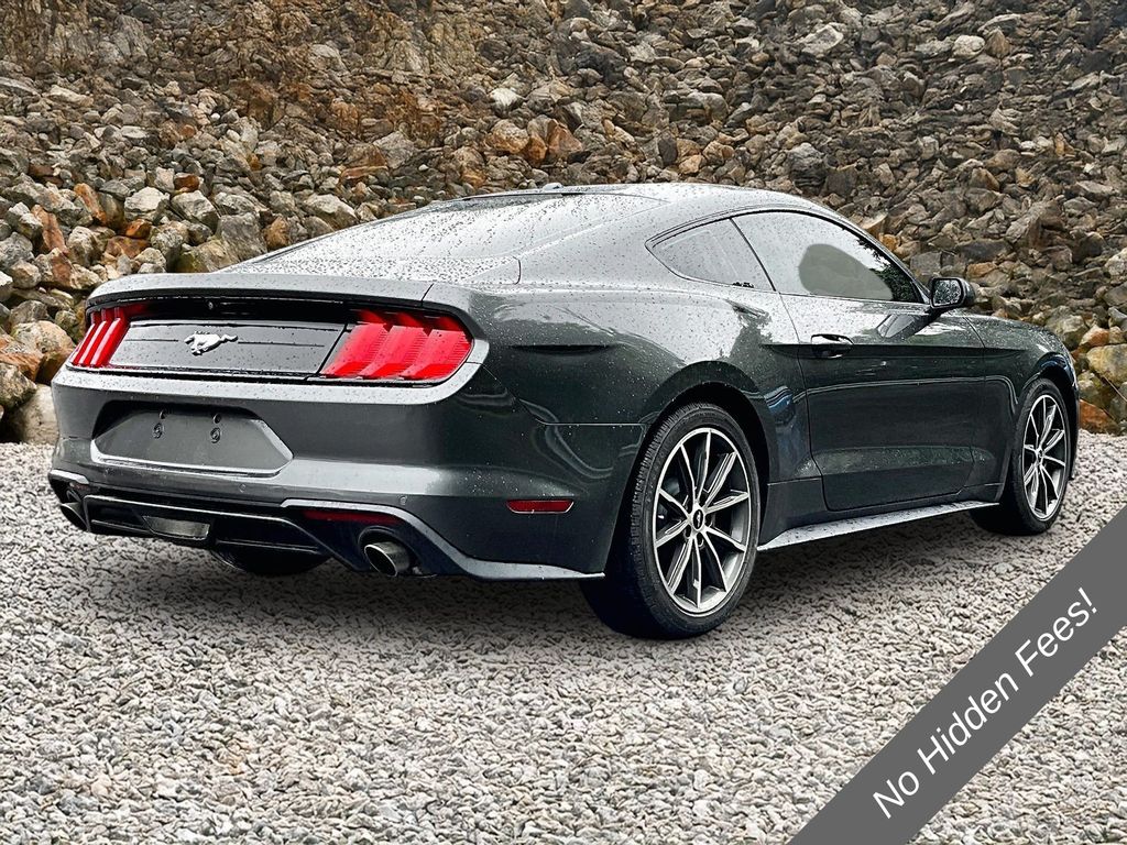 ford mustang 2019 1FA6P8TH1K5116499 image ford mustang 2019 1FA6P8TH1K5116499 image