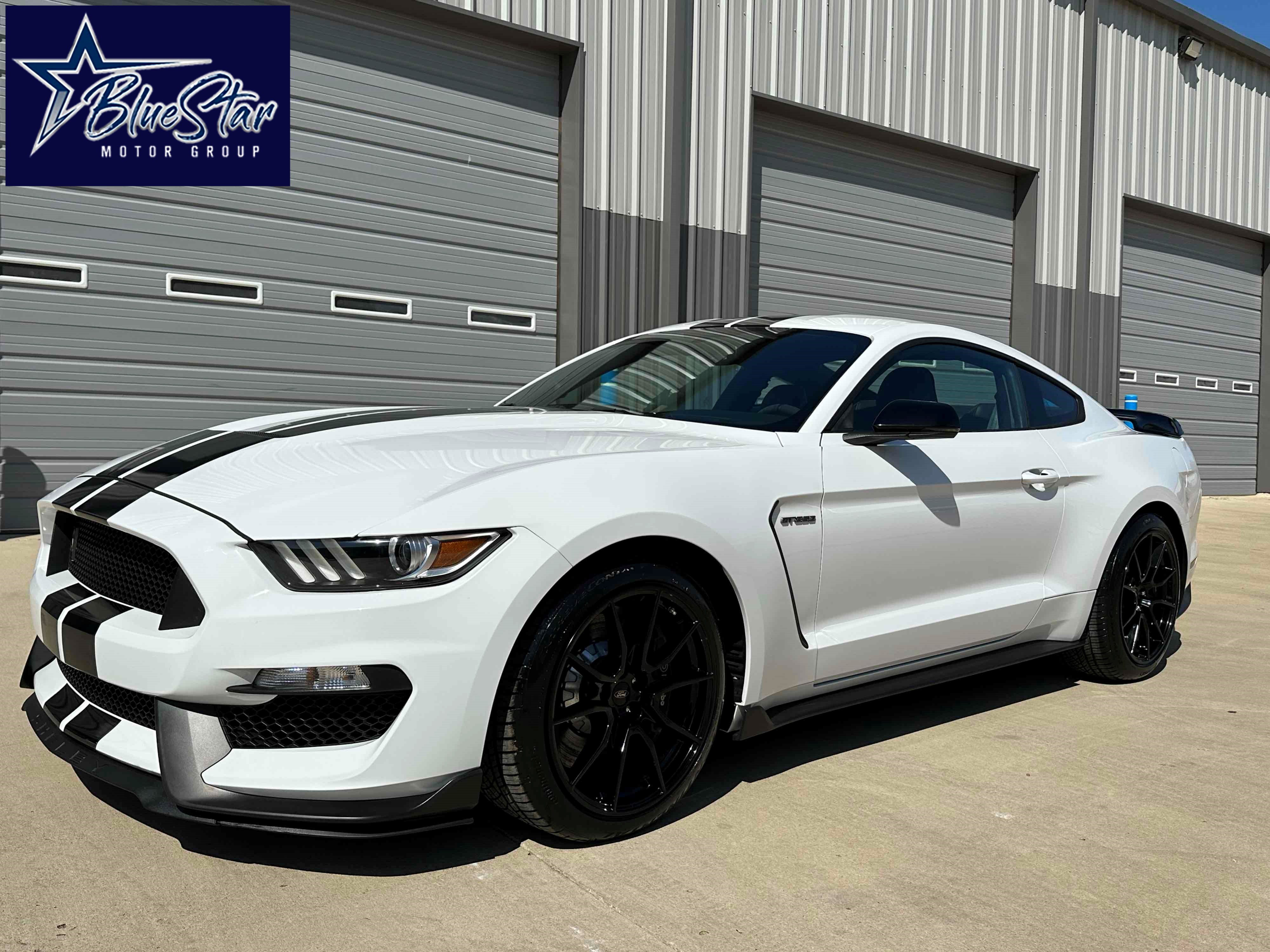 ford mustang 2019 1FA6P8JZ1K5550448 image ford mustang 2019 1FA6P8JZ1K5550448 image