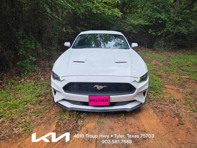 ford mustang 2019 1FA6P8TH7K5187965 image ford mustang 2019 1FA6P8TH7K5187965 image