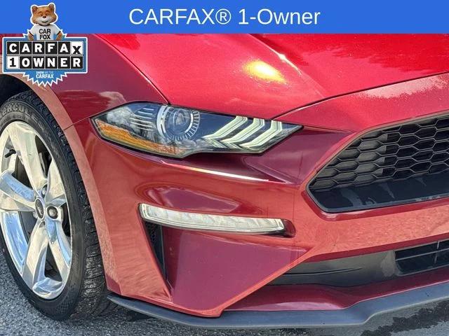 ford mustang 2019 1FA6P8TH3K5101728 image ford mustang 2019 1FA6P8TH3K5101728 image