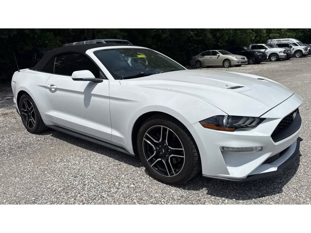 ford mustang 2019 1FATP8UH8K5104688 image ford mustang 2019 1FATP8UH8K5104688 image