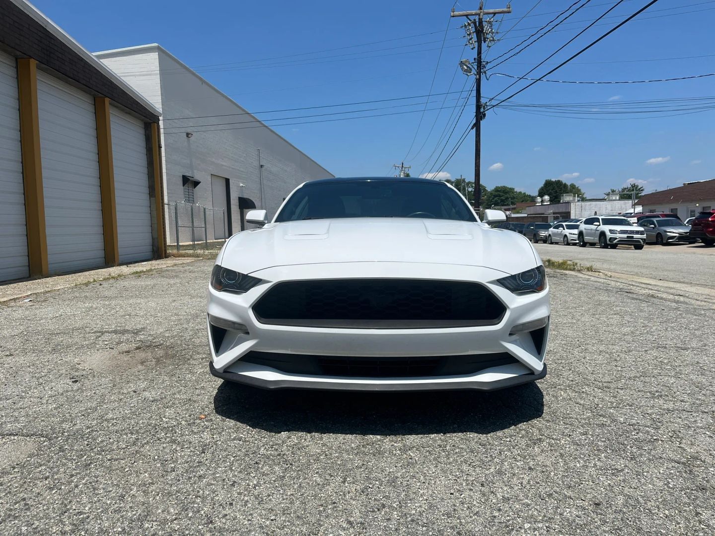 ford mustang 2019 1FA6P8TH5K5178245 image ford mustang 2019 1FA6P8TH5K5178245 image