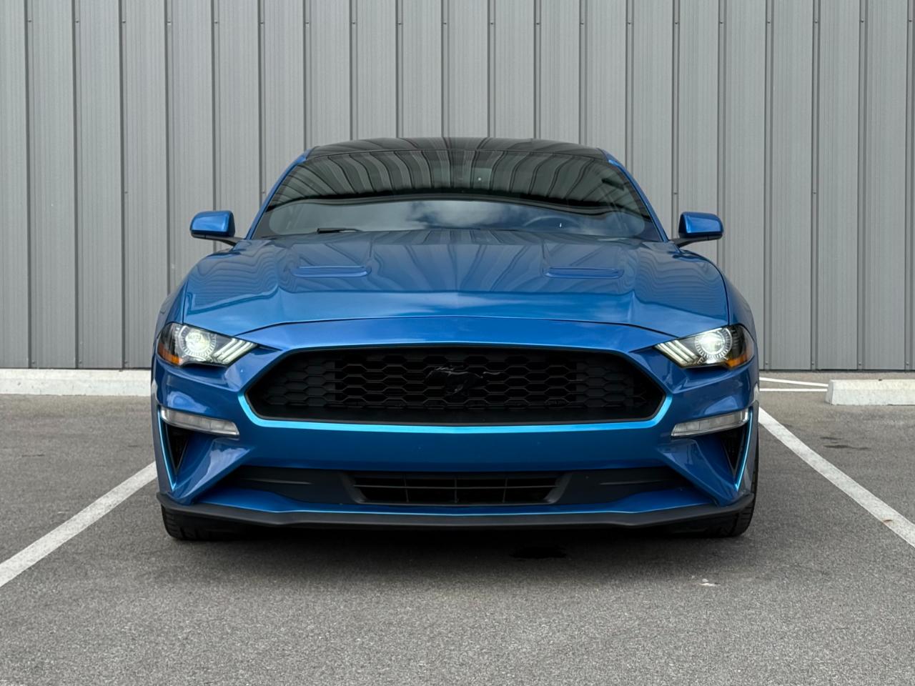 ford mustang 2019 1FA6P8TH3K5173996 image ford mustang 2019 1FA6P8TH3K5173996 image