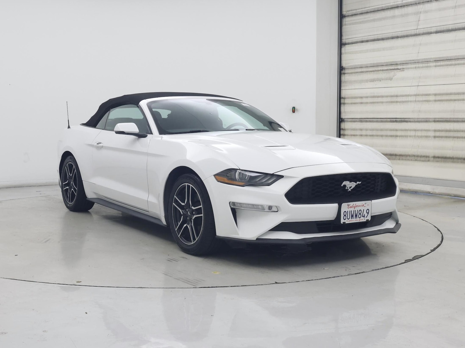 ford mustang 2019 1FATP8UH1K5179605 image