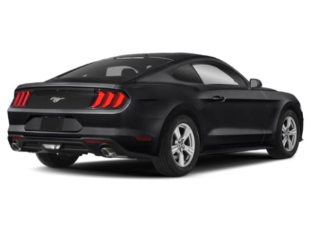 ford mustang 2019 1FA6P8TH0K5157710 image ford mustang 2019 1FA6P8TH0K5157710 image