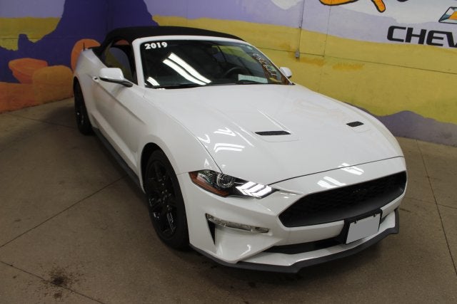 ford mustang 2019 1FATP8UH1K5179782 image