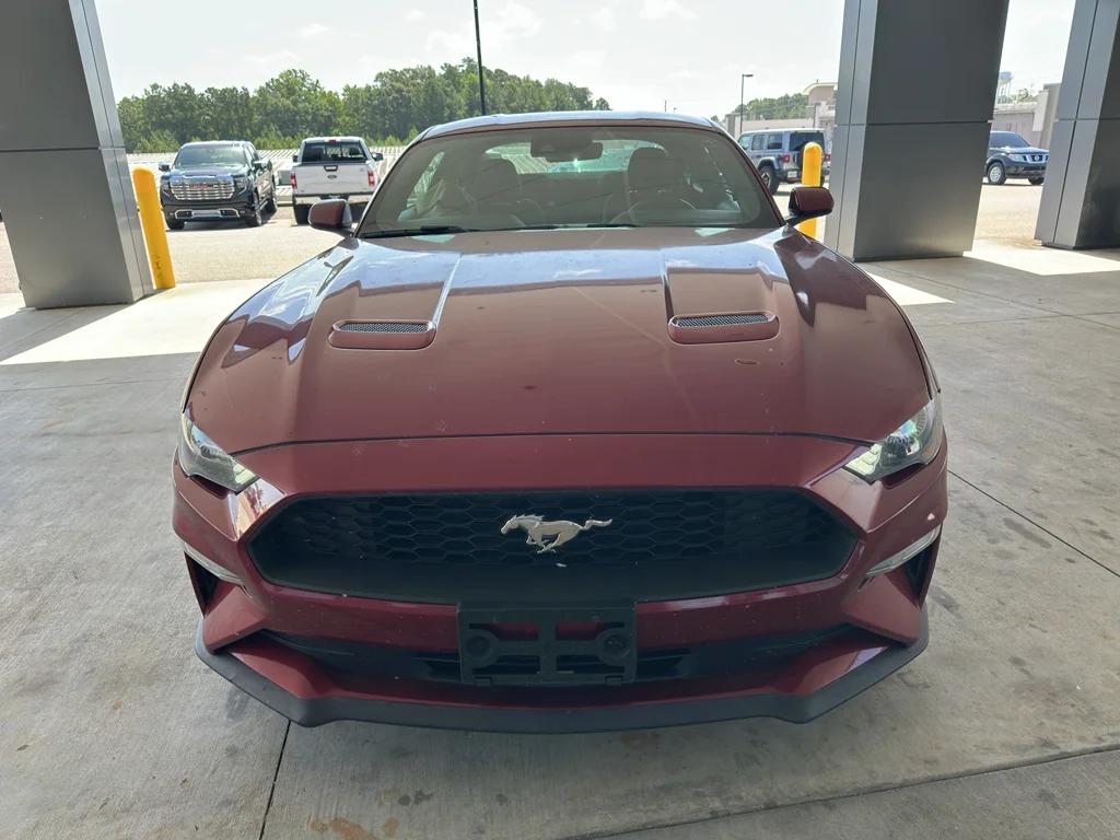 ford mustang 2019 1FA6P8TH2K5168501 image ford mustang 2019 1FA6P8TH2K5168501 image