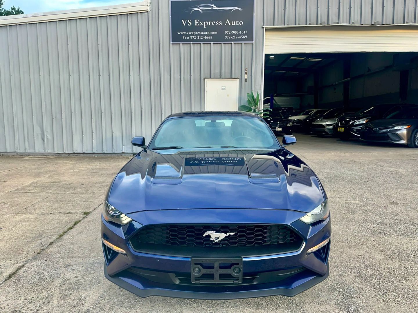 ford mustang 2019 1FA6P8TH0K5125176 image ford mustang 2019 1FA6P8TH0K5125176 image