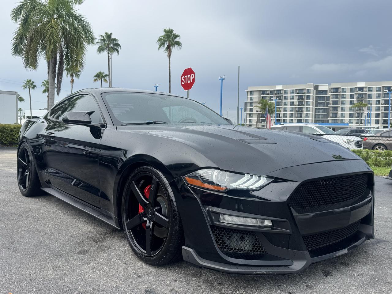 ford mustang 2019 1FA6P8CF6K5187972 image ford mustang 2019 1FA6P8CF6K5187972 image
