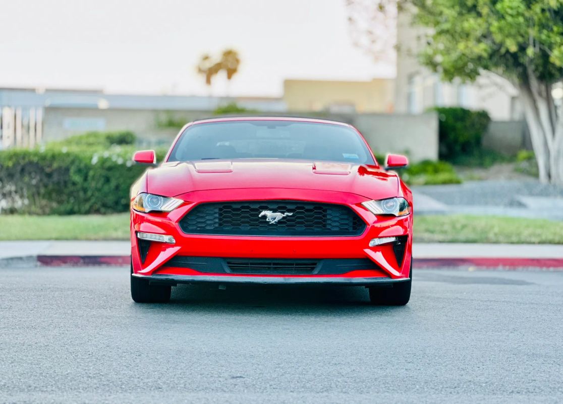 ford mustang 2019 1FATP8UH2K5148668 image