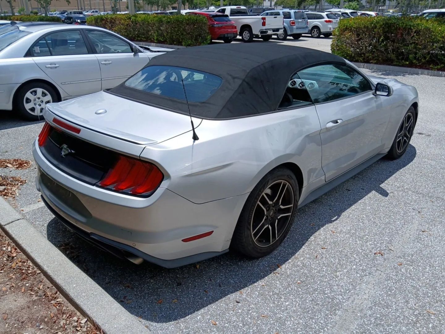 ford mustang 2019 1FATP8UH2K5126251 image