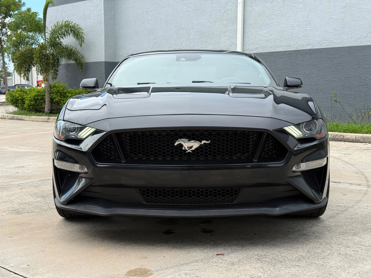 ford mustang 2019 1FA6P8CFXK5129248 image ford mustang 2019 1FA6P8CFXK5129248 image