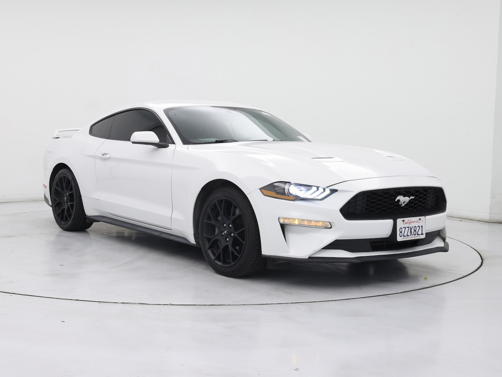 ford mustang 2019 1FA6P8TH8K5169295 image ford mustang 2019 1FA6P8TH8K5169295 image