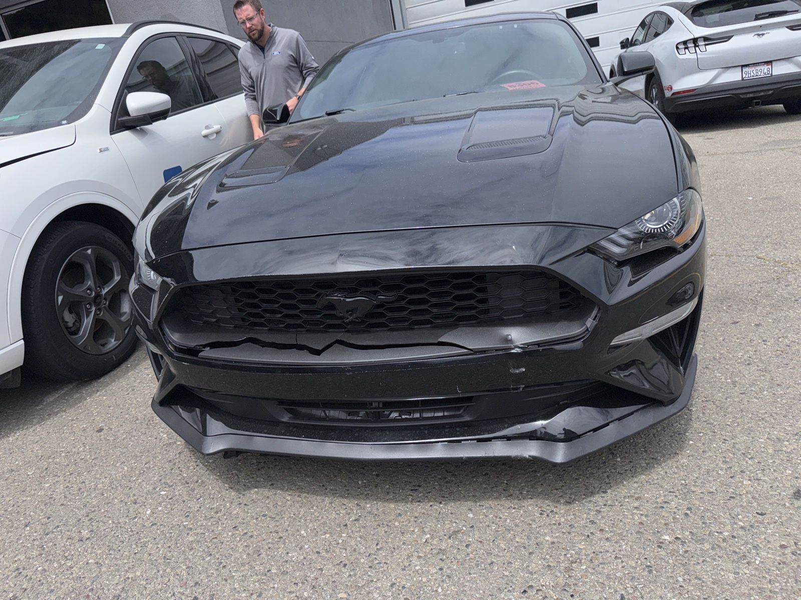 ford mustang 2019 1FA6P8TH3K5169558 image ford mustang 2019 1FA6P8TH3K5169558 image
