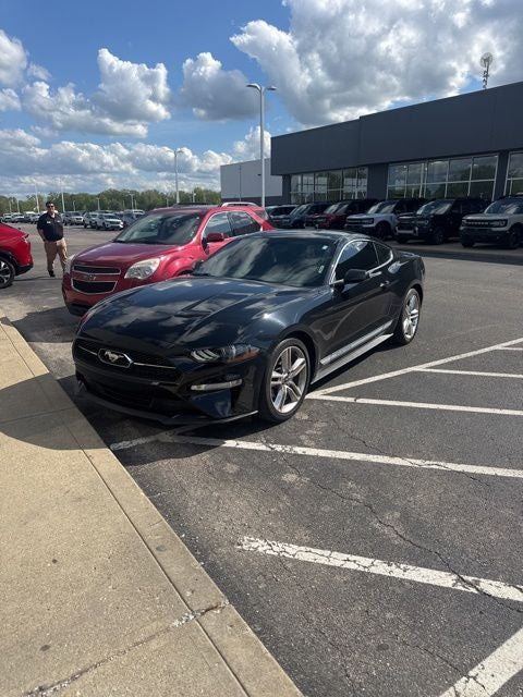 ford mustang 2019 1FA6P8TH0K5147601 image ford mustang 2019 1FA6P8TH0K5147601 image