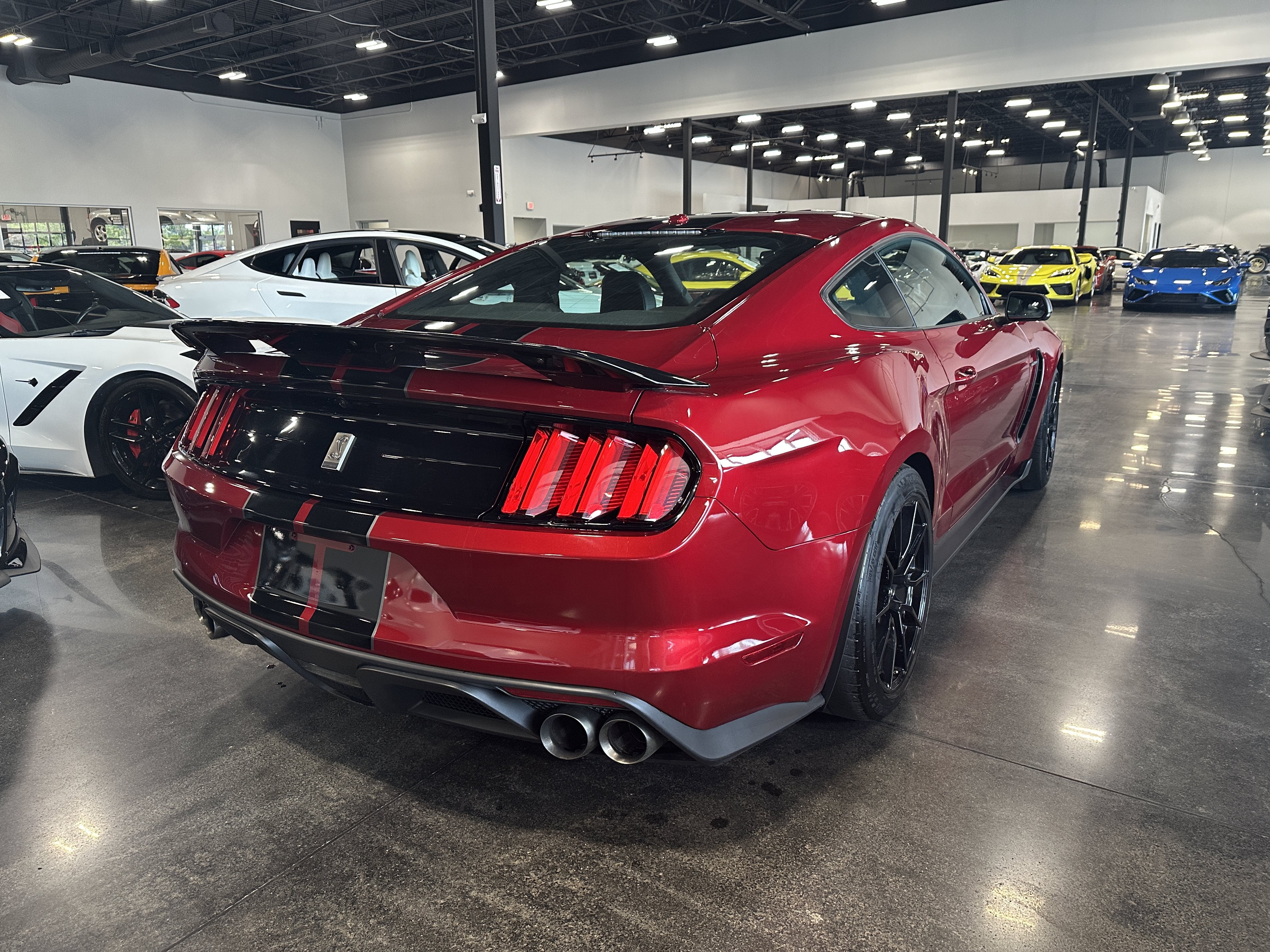 ford mustang 2019 1FA6P8JZ9K5551556 image ford mustang 2019 1FA6P8JZ9K5551556 image