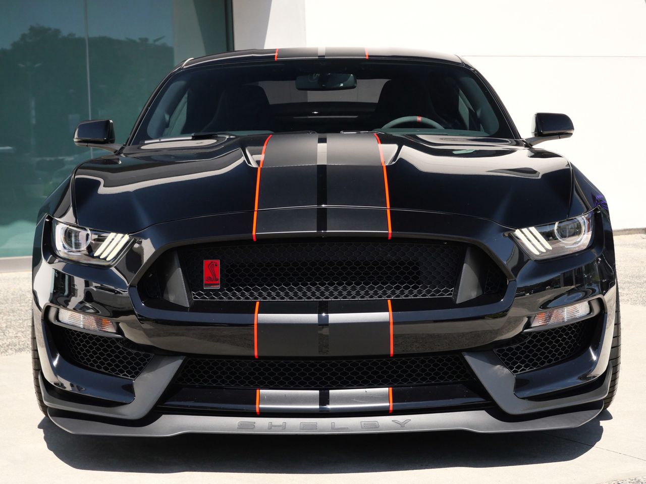 ford mustang 2019 1FA6P8JZ2K5551026 image ford mustang 2019 1FA6P8JZ2K5551026 image