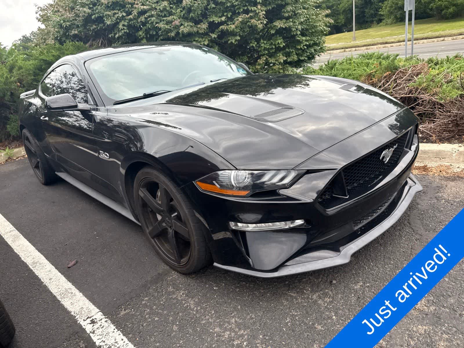 ford mustang 2019 1FA6P8CF3K5187203 image ford mustang 2019 1FA6P8CF3K5187203 image