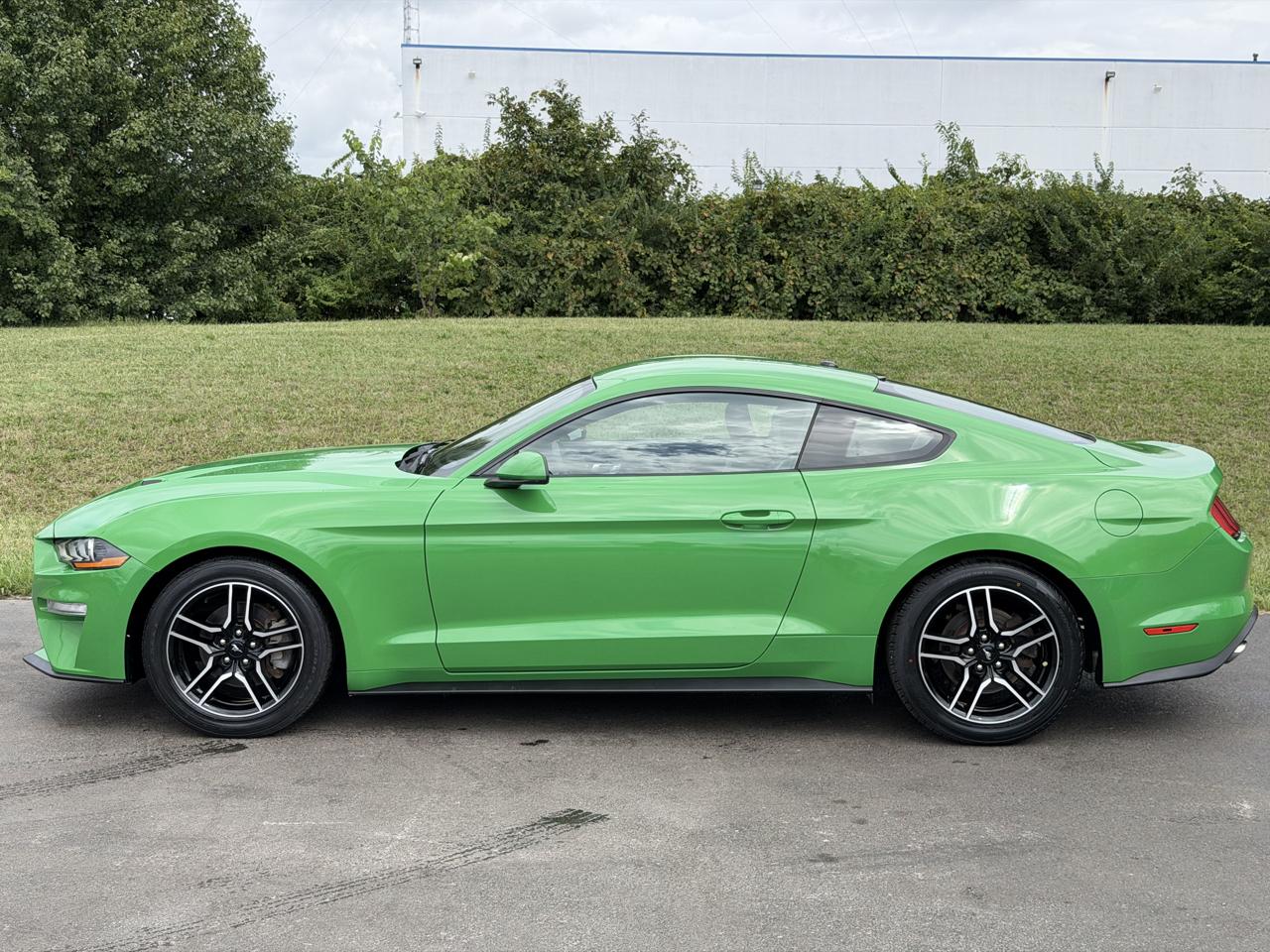 ford mustang 2019 1FA6P8TH2K5119430 image ford mustang 2019 1FA6P8TH2K5119430 image