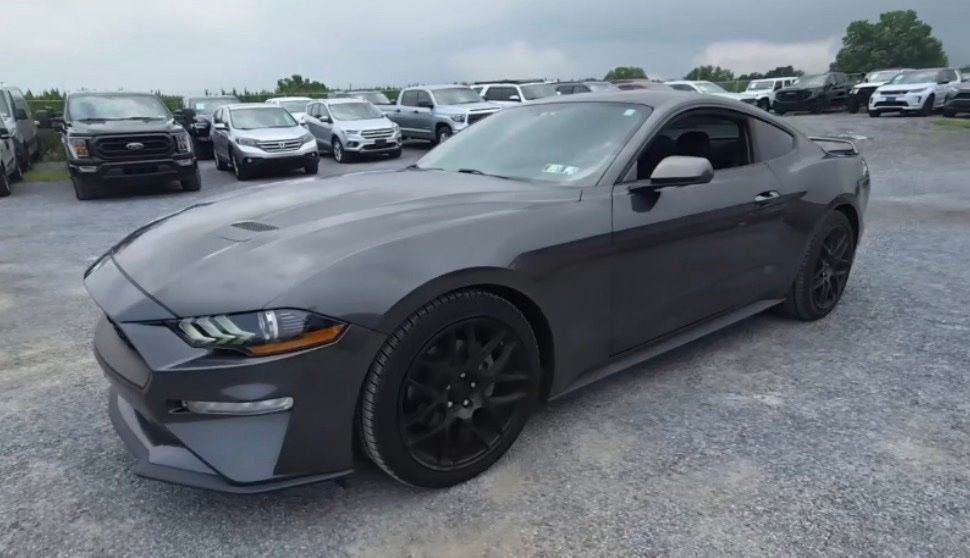 ford mustang 2019 1FA6P8TH3K5142215 image ford mustang 2019 1FA6P8TH3K5142215 image