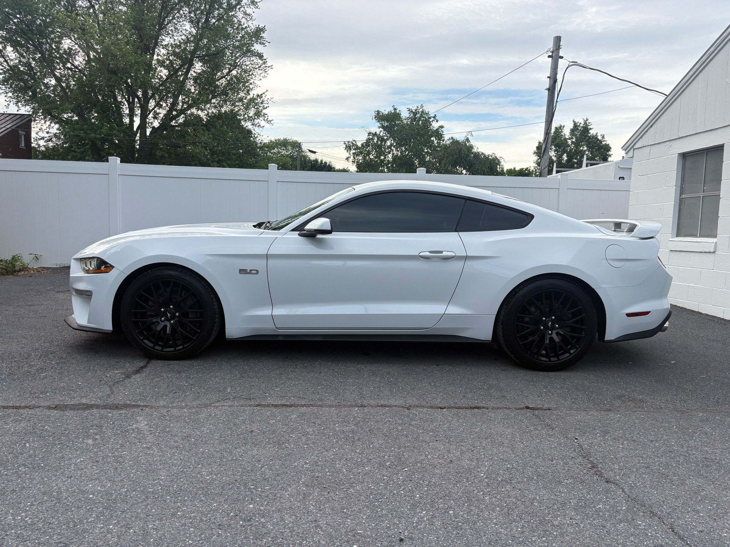 ford mustang 2019 1FA6P8CF9K5117401 image ford mustang 2019 1FA6P8CF9K5117401 image