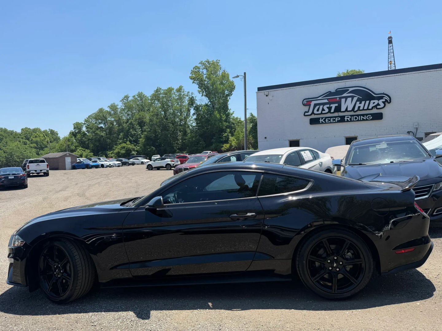 ford mustang 2019 1FA6P8CF1K5132698 image ford mustang 2019 1FA6P8CF1K5132698 image