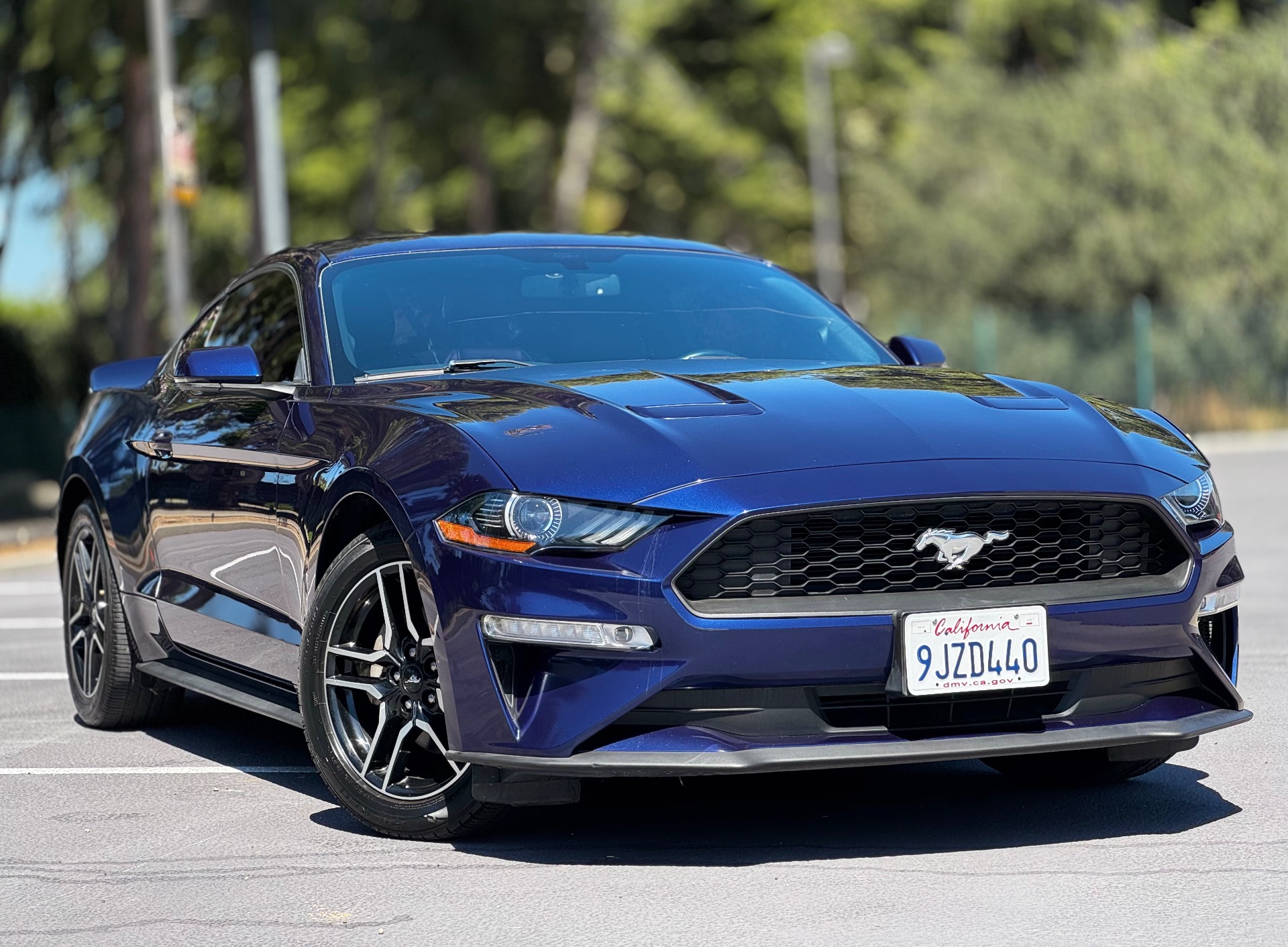 ford mustang 2019 1FA6P8TH8K5125555 image ford mustang 2019 1FA6P8TH8K5125555 image
