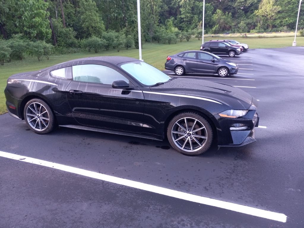ford mustang 2019 1FA6P8TH4K5118974 image ford mustang 2019 1FA6P8TH4K5118974 image