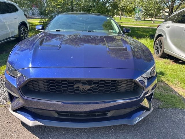 ford mustang 2019 1FA6P8TH3K5101857 image ford mustang 2019 1FA6P8TH3K5101857 image