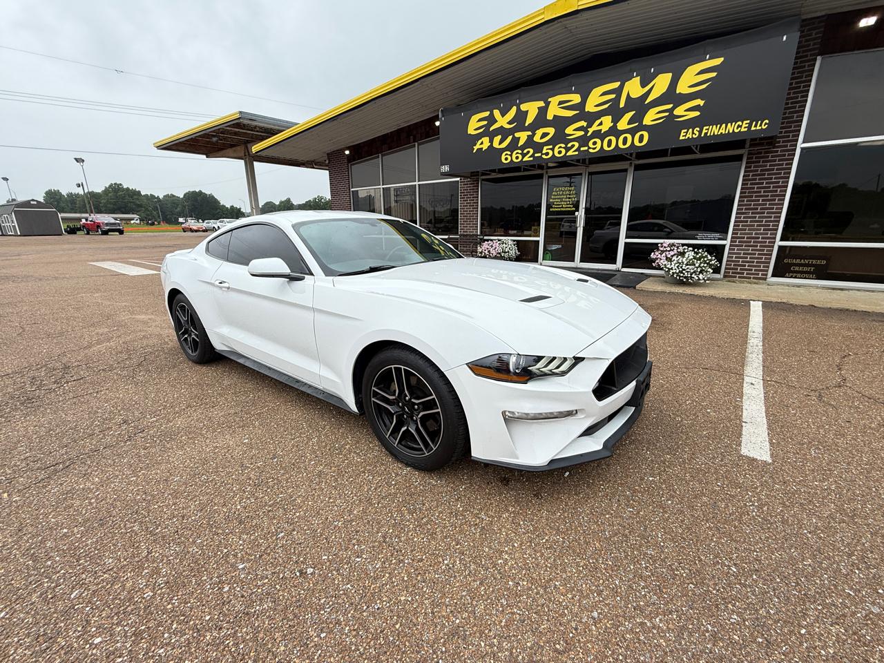ford mustang 2019 1FA6P8TH0K5204234 image ford mustang 2019 1FA6P8TH0K5204234 image