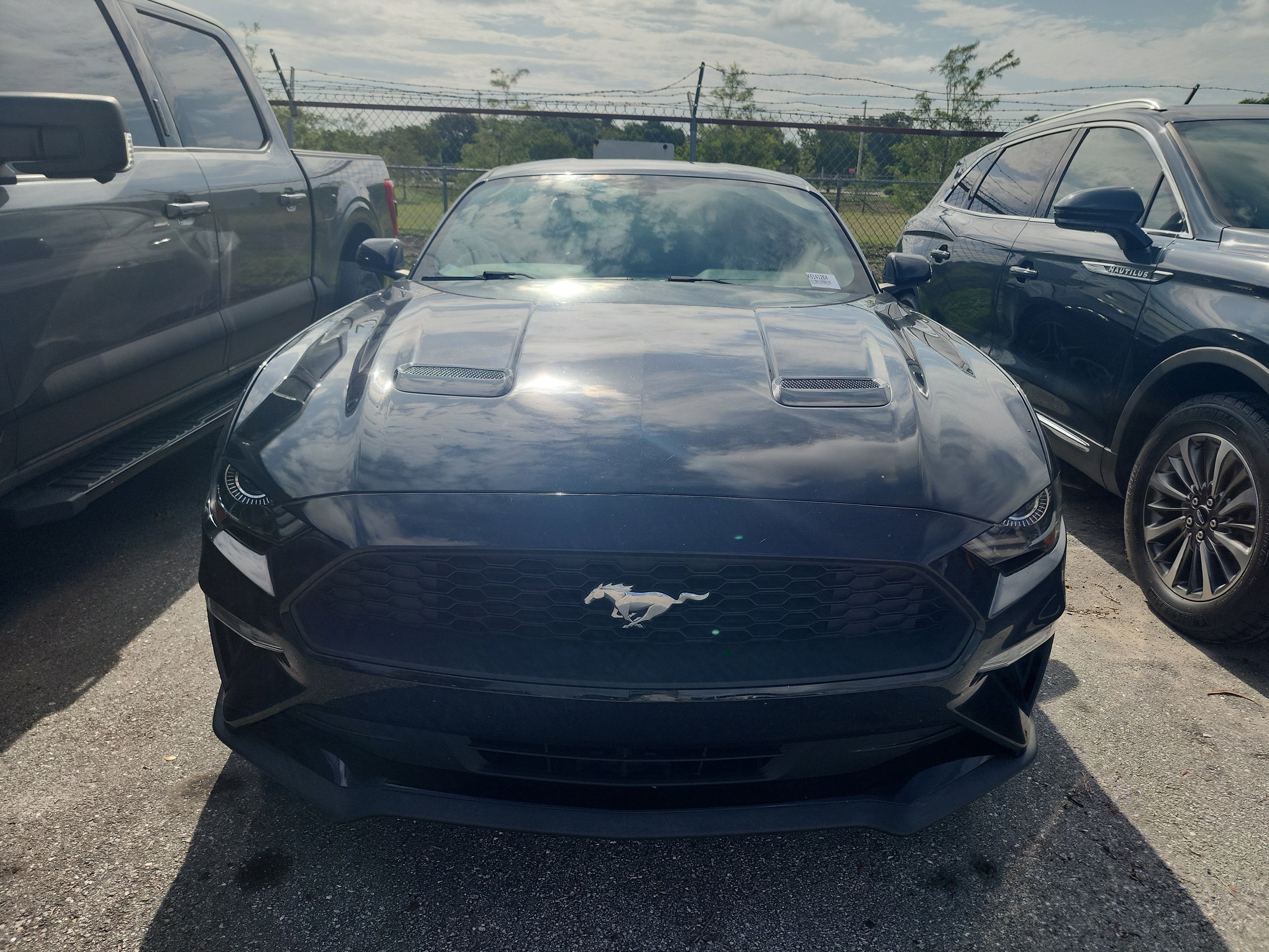 ford mustang 2019 1FA6P8TH0K5141264 image ford mustang 2019 1FA6P8TH0K5141264 image