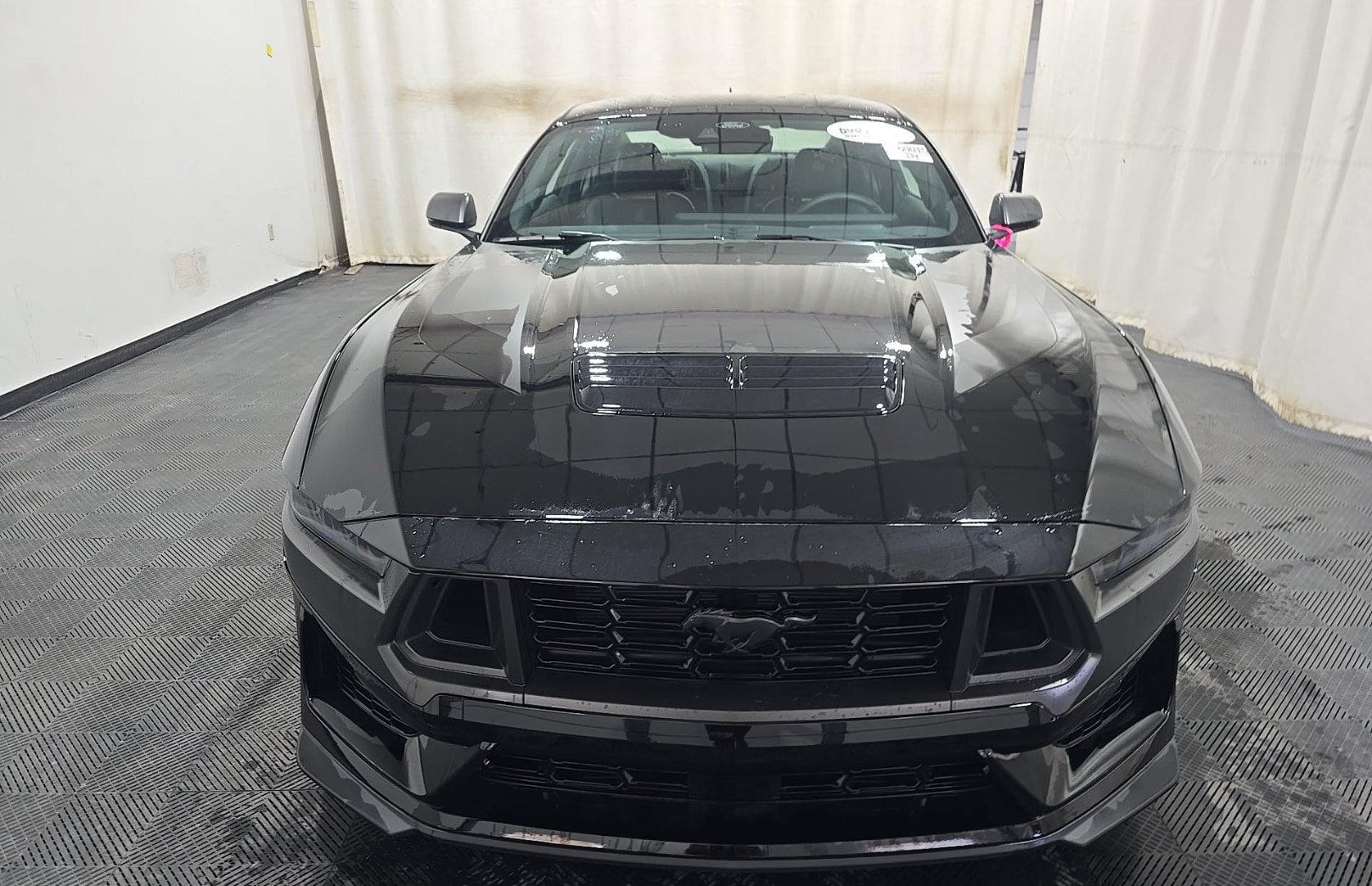 ford mustang 2026 1FA6P8R08T5502629 image ford mustang 2026 1FA6P8R08T5502629 image