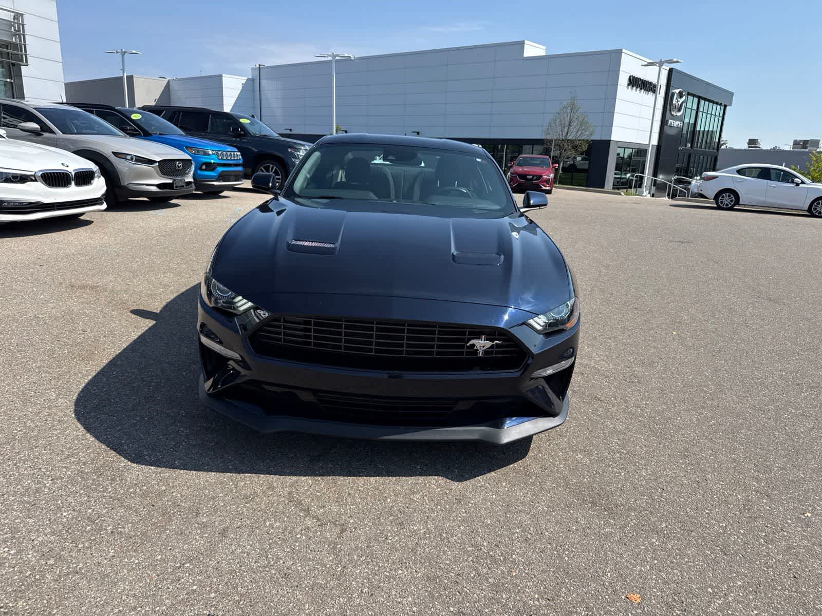 ford mustang 2021 1FA6P8TD9M5138802 image ford mustang 2021 1FA6P8TD9M5138802 image