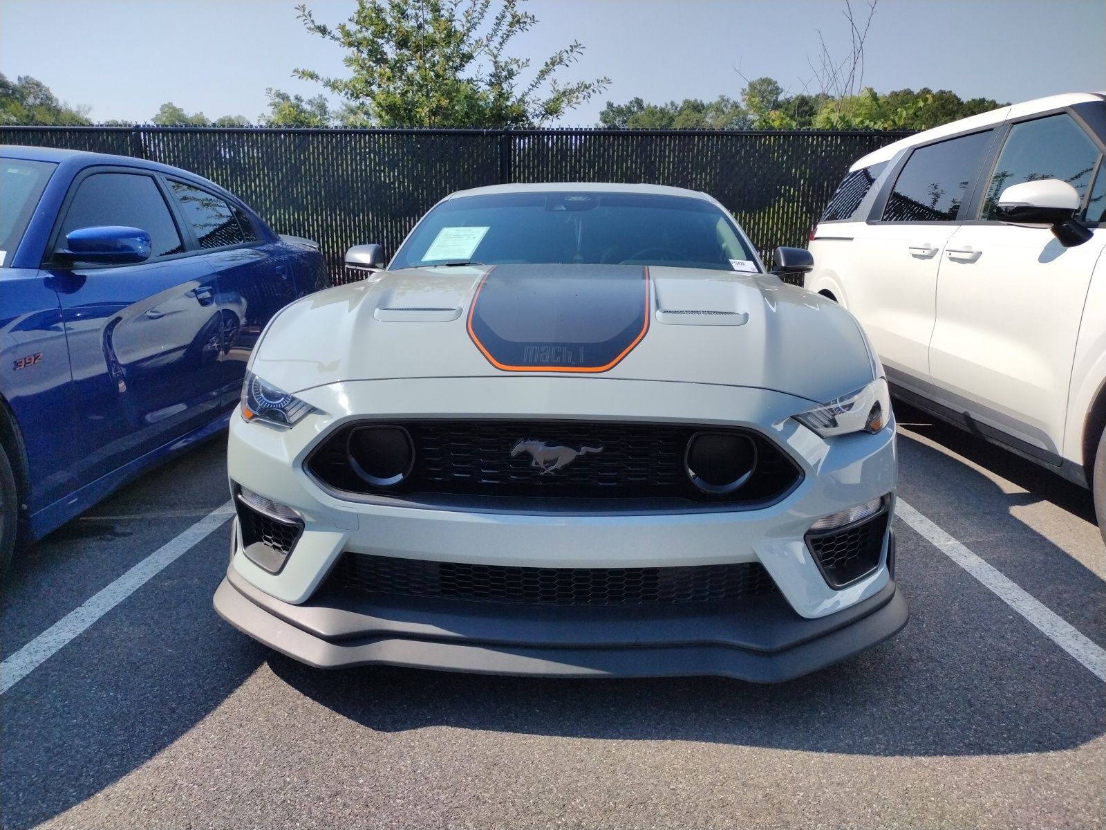 ford mustang 2021 1FA6P8R07M5551645 image ford mustang 2021 1FA6P8R07M5551645 image