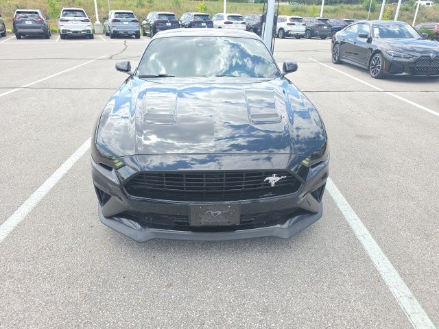 ford mustang 2021 1FA6P8CF6M5116211 image ford mustang 2021 1FA6P8CF6M5116211 image