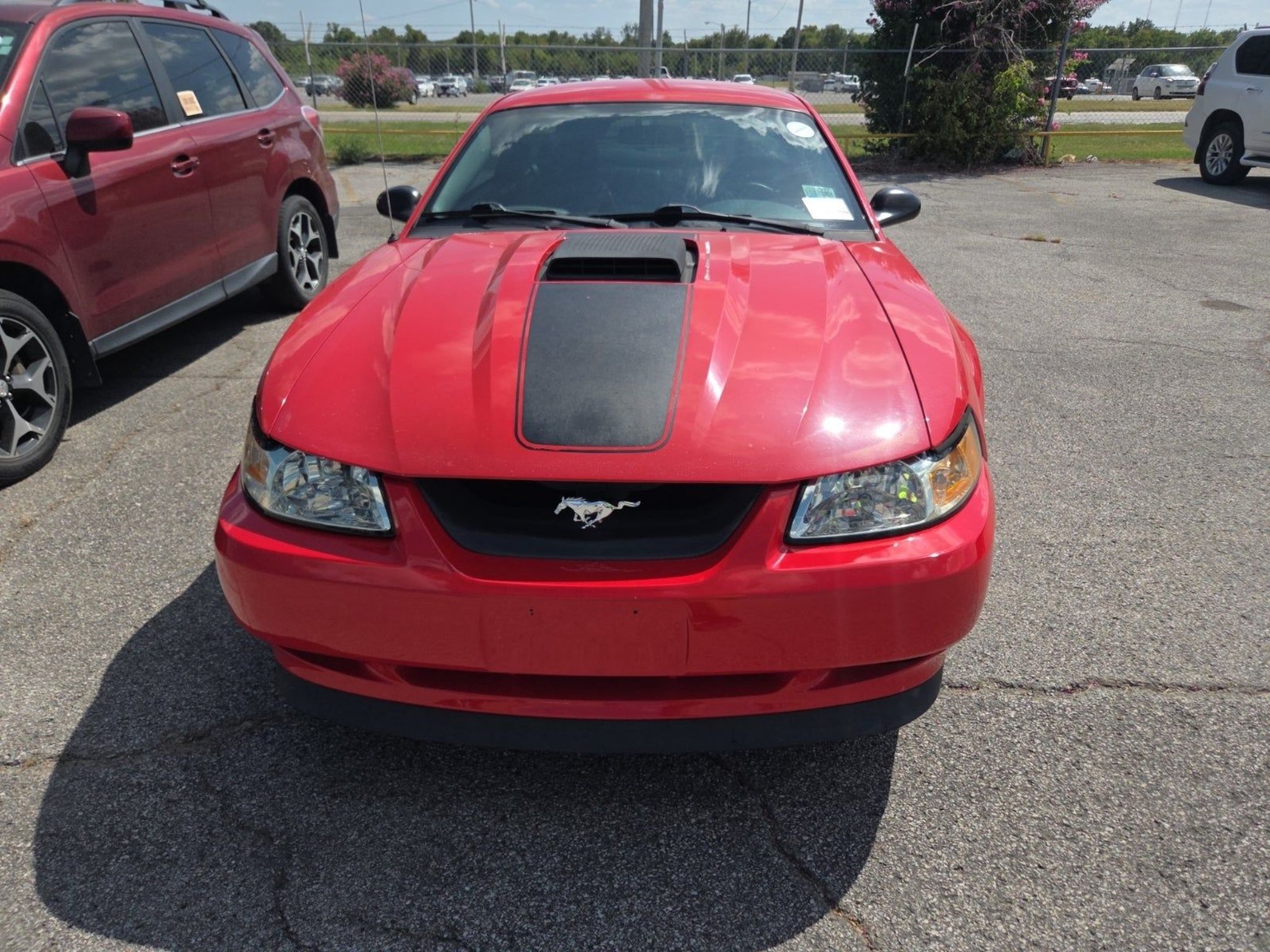 ford mustang 2004 1FAFP42R44F131062 image ford mustang 2004 1FAFP42R44F131062 image