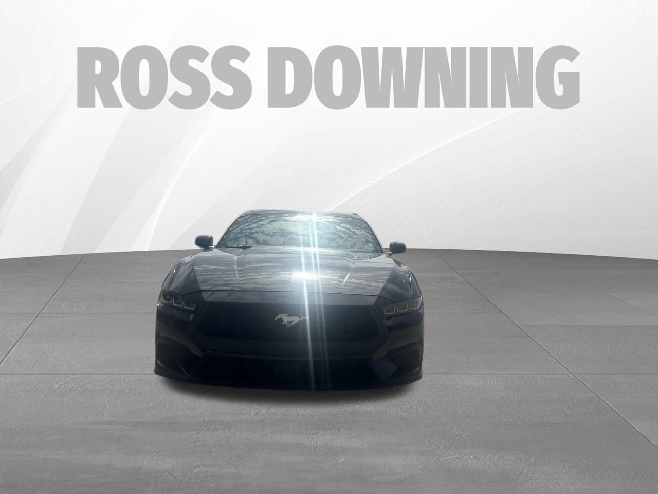 ford mustang 2024 1FA6P8TH0R5113670 image ford mustang 2024 1FA6P8TH0R5113670 image