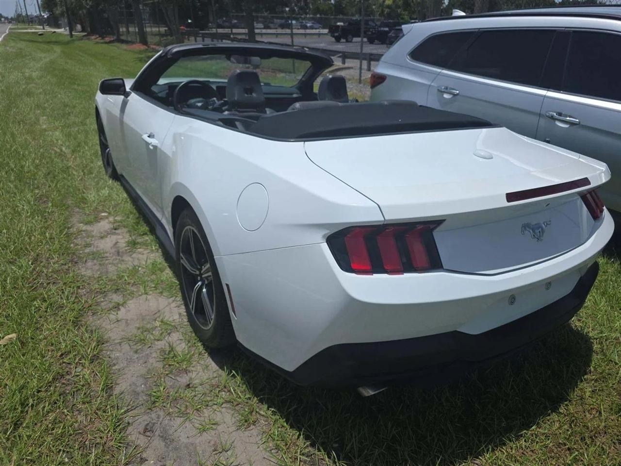 ford mustang 2024 1FAGP8UH4R5105977 image ford mustang 2024 1FAGP8UH4R5105977 image