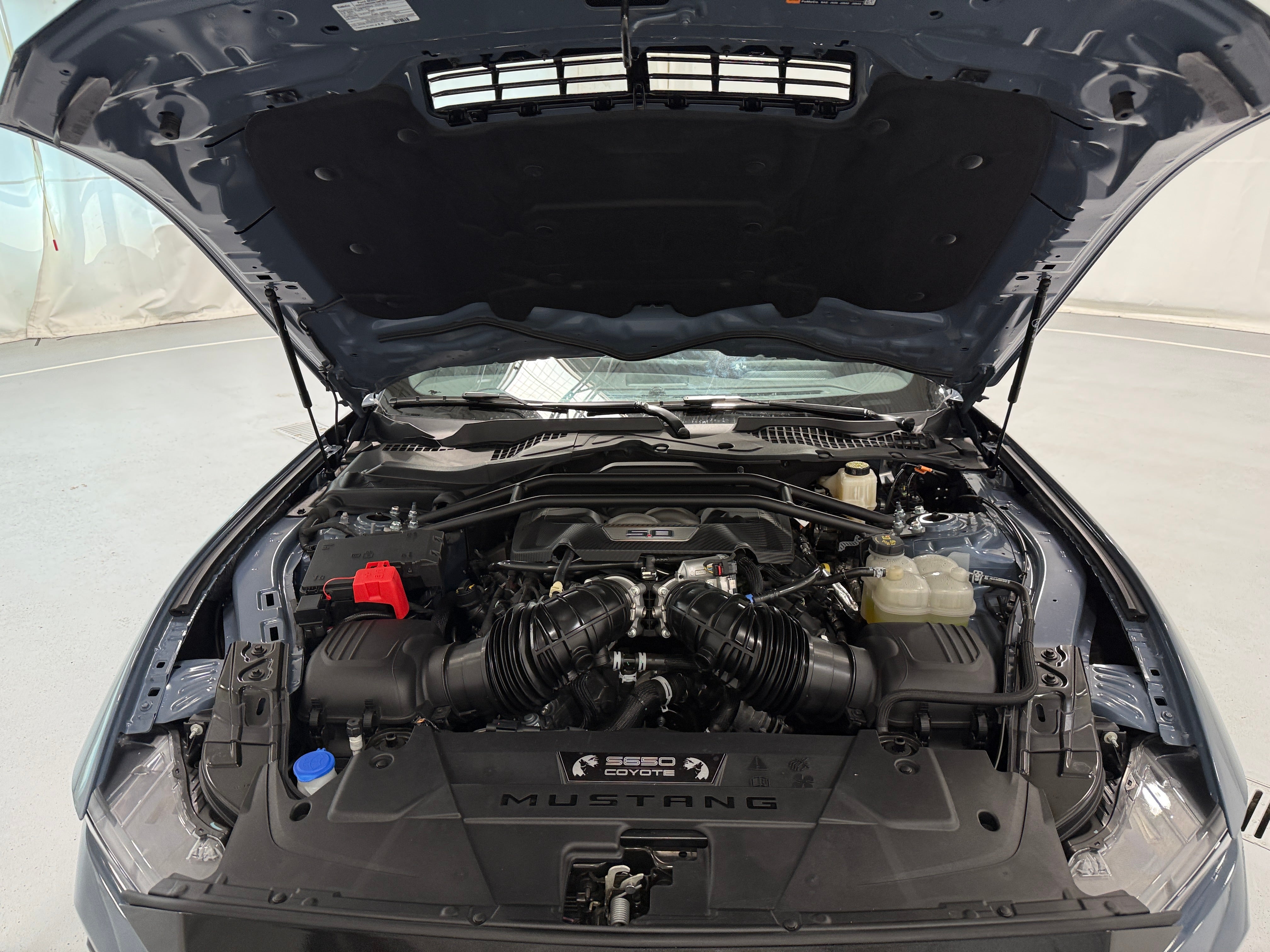 ford mustang 2024 1FA6P8CF1R5405052 image ford mustang 2024 1FA6P8CF1R5405052 image