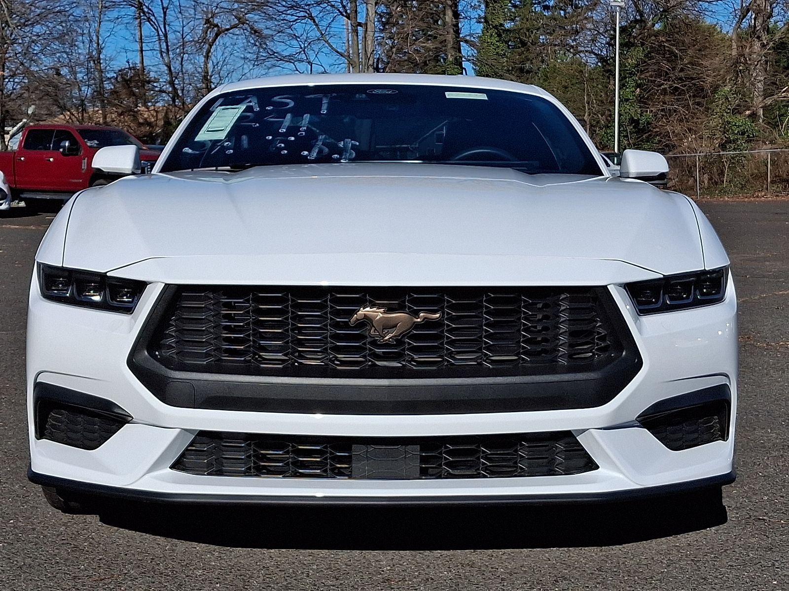 ford mustang 2024 1FA6P8TH3R5143262 image ford mustang 2024 1FA6P8TH3R5143262 image