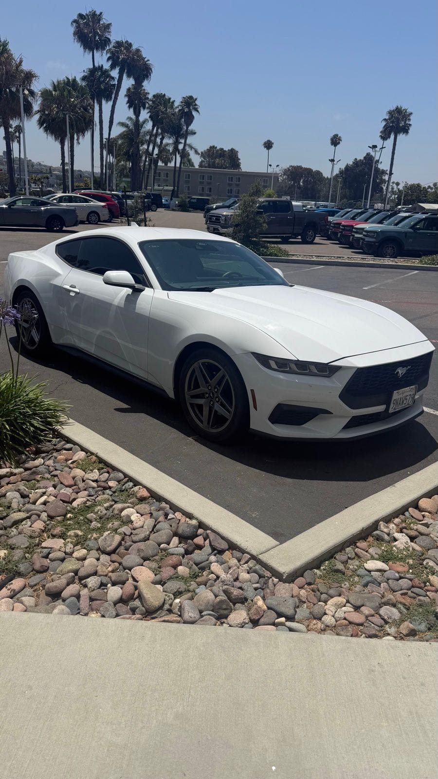 ford mustang 2024 1FA6P8TH4R5129225 image ford mustang 2024 1FA6P8TH4R5129225 image